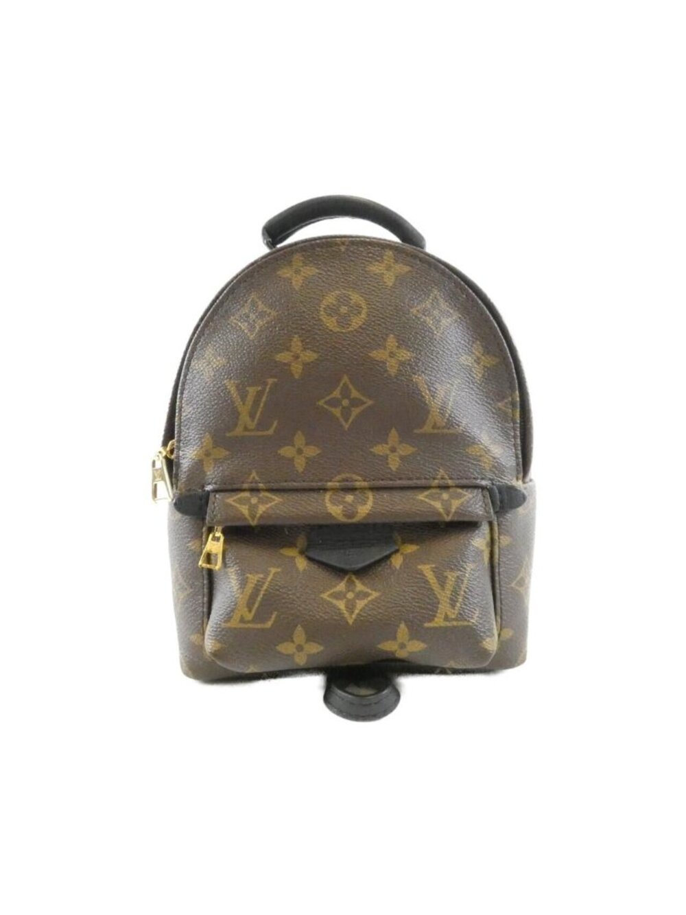 Louis Vuitton Monogram Palm Spring Backpack Mini